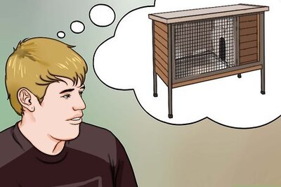 How to Make a Guinea Pig Cage
