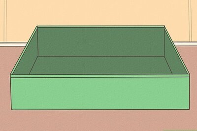 How to House Train a Pig