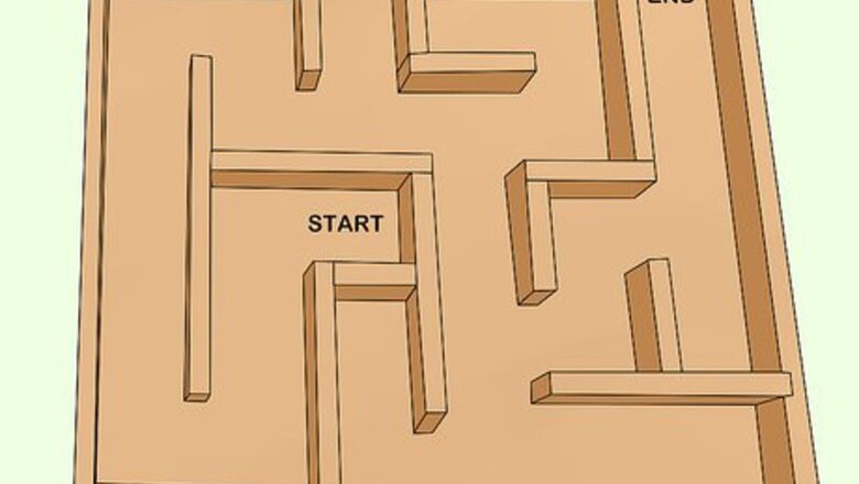 How to Train a Rat to Run a Maze or Obstacle Course