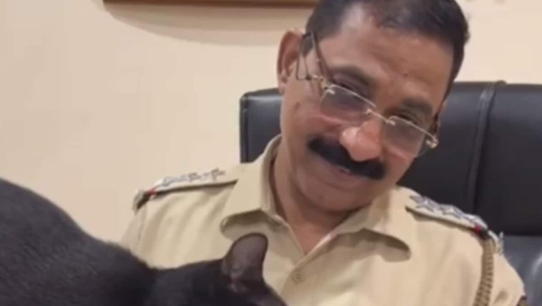 Watch: In This Mumbai Police Officer's Cabin, Cat Lola Is In Charge