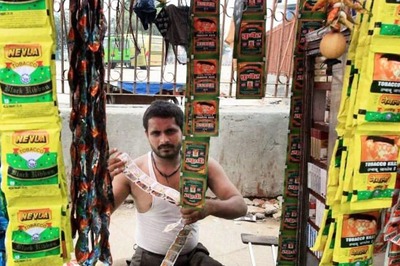 India Cracked Down on Tobacco Smoking But 'Paan Masala' Brands Still Enjoy Celebrity Endorsement