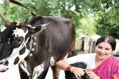 Actress Bhavana Ramanna Shares Her Unique Experience Of Rearing Cow In Bengaluru