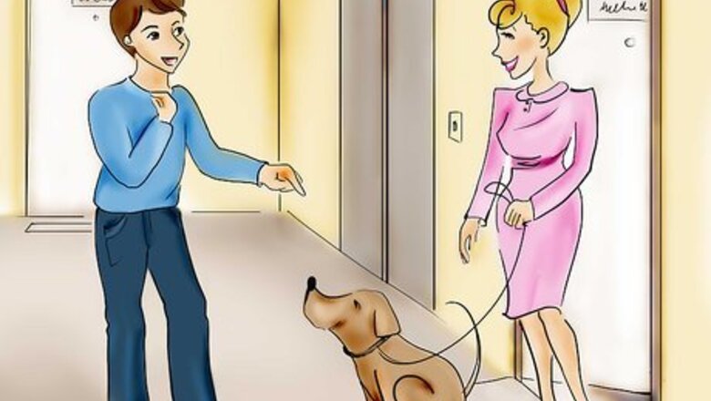 How to Be a Good Pet Sitter