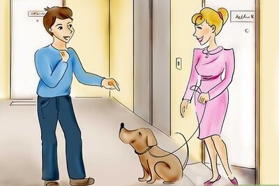 How to Be a Good Pet Sitter