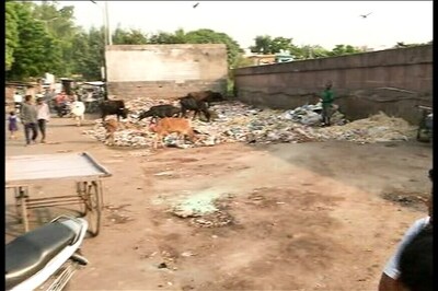 Need to Strengthen India's Disease Surveillance Network: WHO