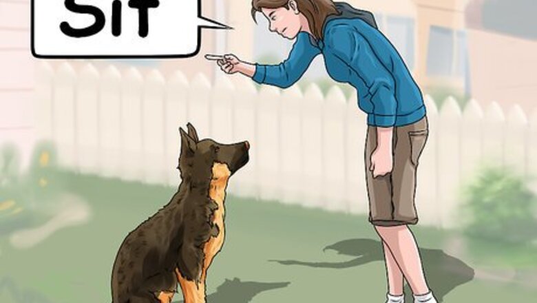 How to Keep a Dog from Chasing Horses