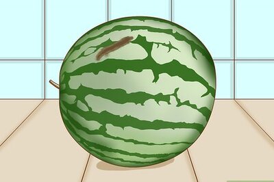 How to Tell if a Watermelon Is Bad