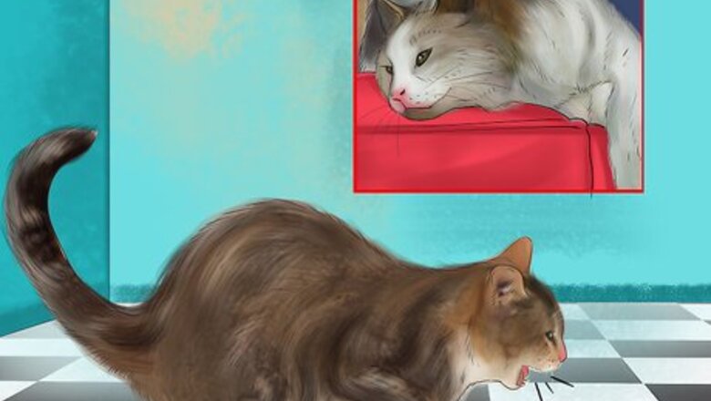 How to Treat Heartworm Disease in Cats