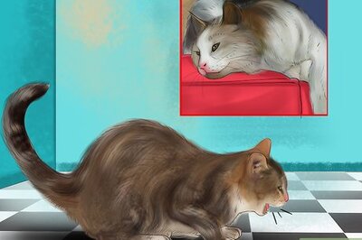 How to Treat Heartworm Disease in Cats