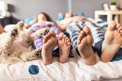 Can Cuddling up to a Canine Companion Help You Sleep Better?