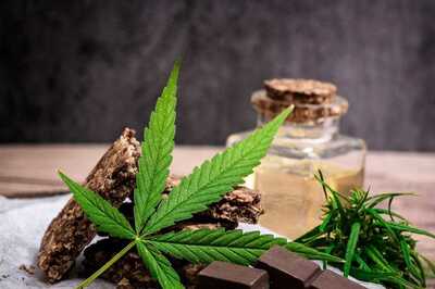 Opinion | Death by Chocolate or Death by Drugs?