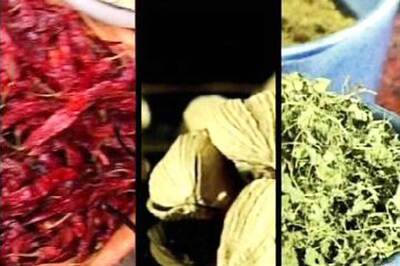 Indian spices under Federal Drug Administration scanner in US