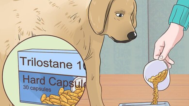 How to Treat a Dog with Cushing's Disease