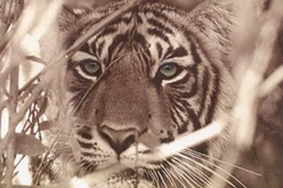 Carl Zeiss Wildlife Conservation Awards winners