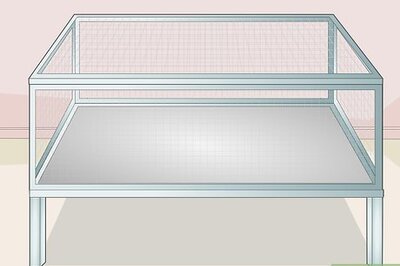 How to Prepare for Your New Guinea Pig