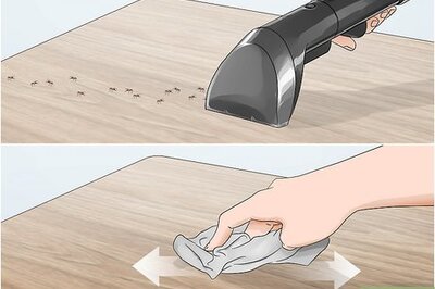 How to Kill Household Bugs