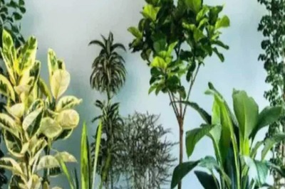 Mother’s Day 2022: Amazing Gift Ideas to Thank Your Pillar of Support