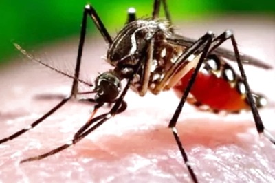 Delhi Reports 1st Death Due to Dengue This Year, 723 Total Cases: Civic Body