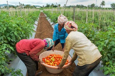 Opinion | Bharat’s Model of Economic Growth Cannot Be Built on Western Models