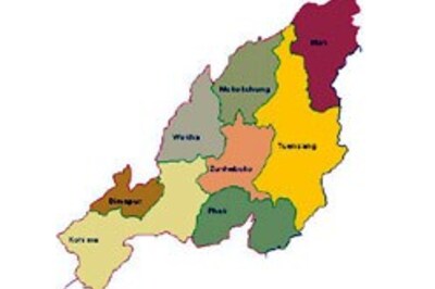 Nagaland to scrutinise Parliament