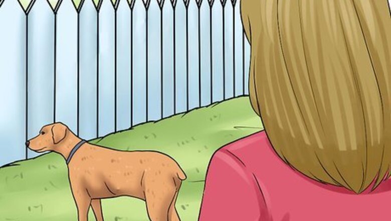 How to Keep a Dog in the Yard