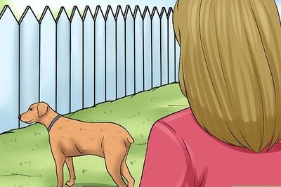 How to Keep a Dog in the Yard