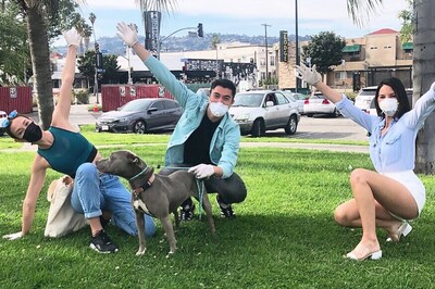 Olivia Munn Helps Henry Golding Find Dog To Foster During Coronavirus Pandemic