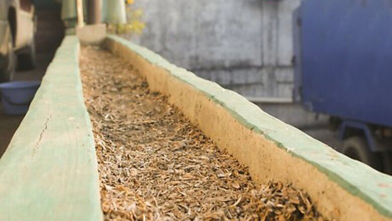 How to Make Cute Pictures of Your Hamster