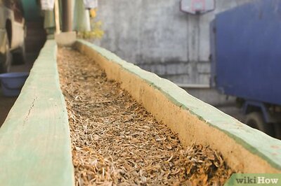 How to Make Cute Pictures of Your Hamster