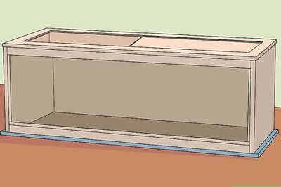 How to Build Love With Your Bearded Dragon