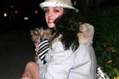 Britney reaches agreement over custody of kids