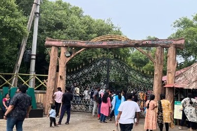 Why Mada Forest In Andhra's East Godavari Is A Must-visit