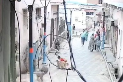 This Video Of Monkeys Attacking Boy In Mathura Is As Scary As It Gets