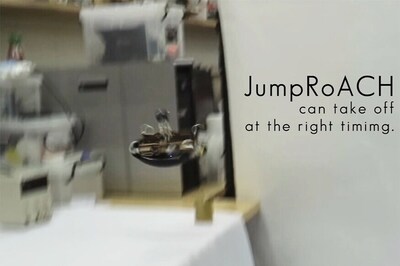 Watch: A Robotic Cockroach That's As Creepy As the Real One