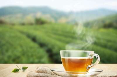 5 Foods And Drinks To Avoid Bloating