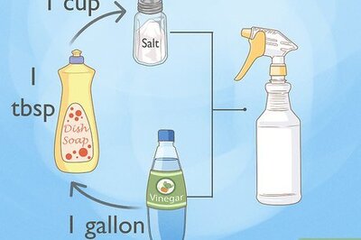 How to Make Weed Killer with Vinegar, Salt, & Dish Soap