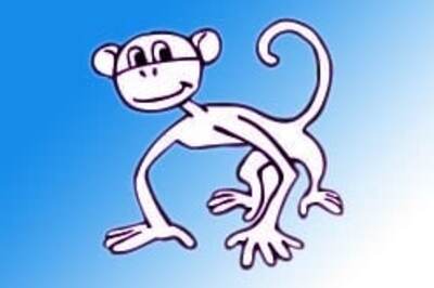 Getting down to monkey business!