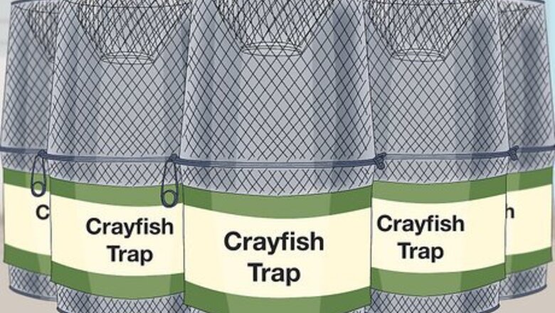 How to Catch a Crayfish