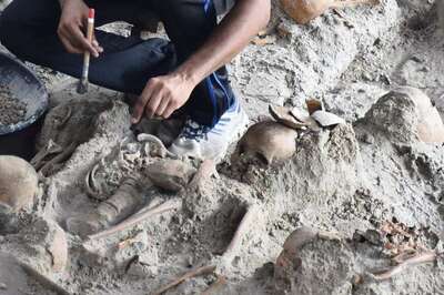 35 Bodies Found in Mexico’s Hidden Mass Graves; Forensic Team Extracts Skulls, Human Remains
