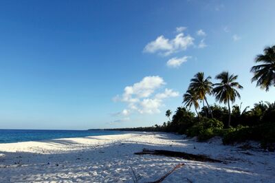 Maldives Minister's Social Media Post Over PM Modi's Lakshadweep Visit Stirs Row; Indians Cancel Trips En Masse