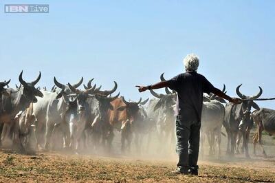 'The Good Road' now belongs to the audience: Gyan Correa