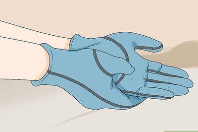 How to Remove a Live Mouse from a Sticky Trap