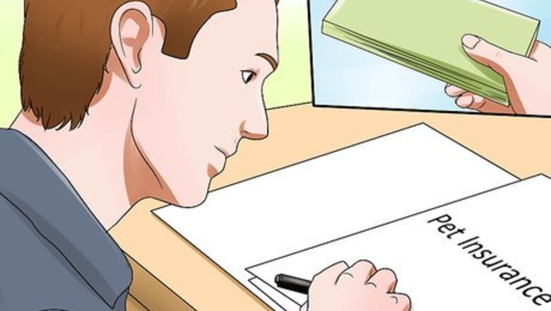 How to Get Affordable Veterinary Care