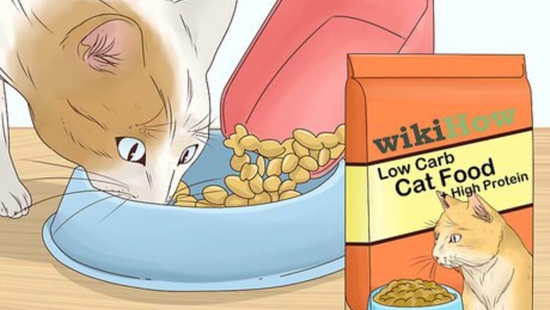 How to Prevent a Diabetic Emergency in Cats