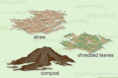 How to Install a Weed Barrier