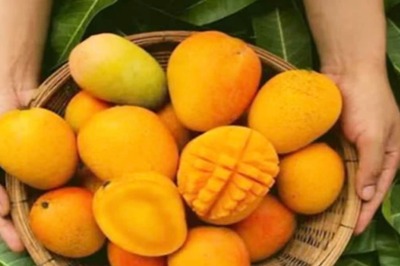 EMI On Mangoes: Meet Gaurav Sanas, Pune Man Who Wants To Make King Of Fruits 'Affordable'