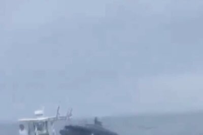 Watch: Fishing Boat Capsizes Off New Hampshire Coast After Whale Lands On Vessel