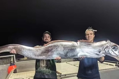 Giant Oarfish Discovered Near Tiwi Island, Locals Recall Ancient Folklore Of Bad Omens