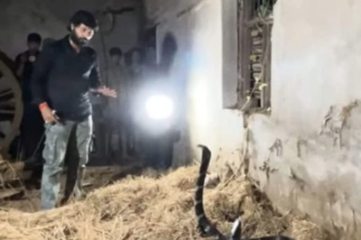 ‘Never Underestimate Snakes’: Meet This Reptile Catcher Who Runs One of UP’s Oldest Rescue Helplines