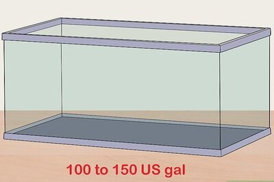 How to Keep Bass and Other American Gamefish in Your Home Aquarium